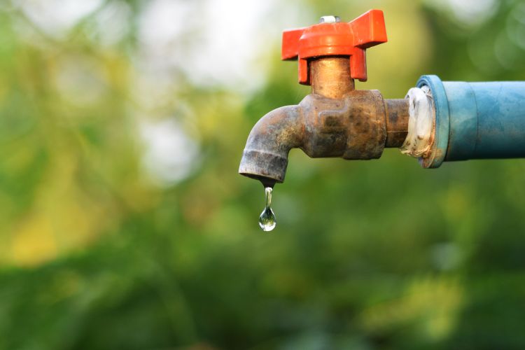 Woda na działkach. Włączenie po okresie zimowym 2024/2025r.