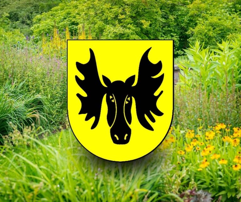 Ogród ROD Jaroszówka ujęty w strefie zieleni i rekreacji w Planie ogólnym gminy Wasilków